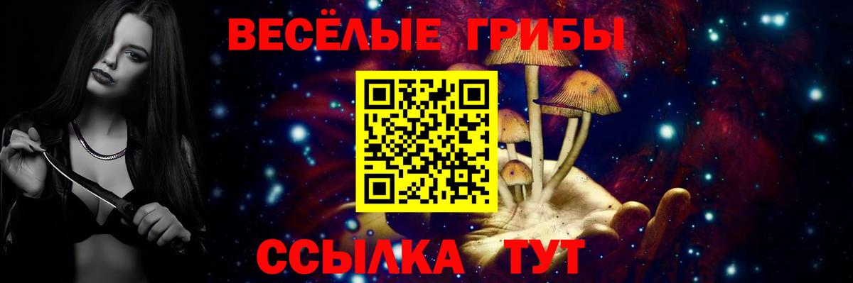 Наро-Фоминск  Псилоцибиновые грибы MAGIC MUSHROOMS  Вход с VPN  Галлюциногенные грибы ЛСД 